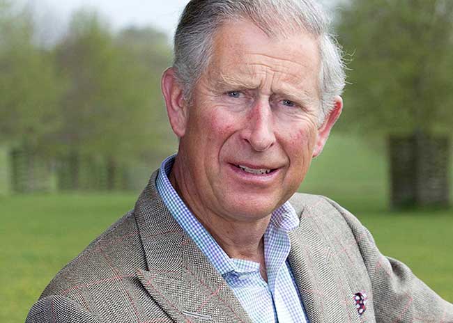 Prime Minister Modi and His Royal Highness The Prince of Wales, telephonic conversation