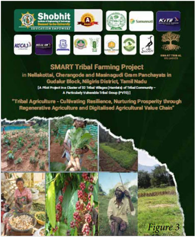 Revolution in Namibia