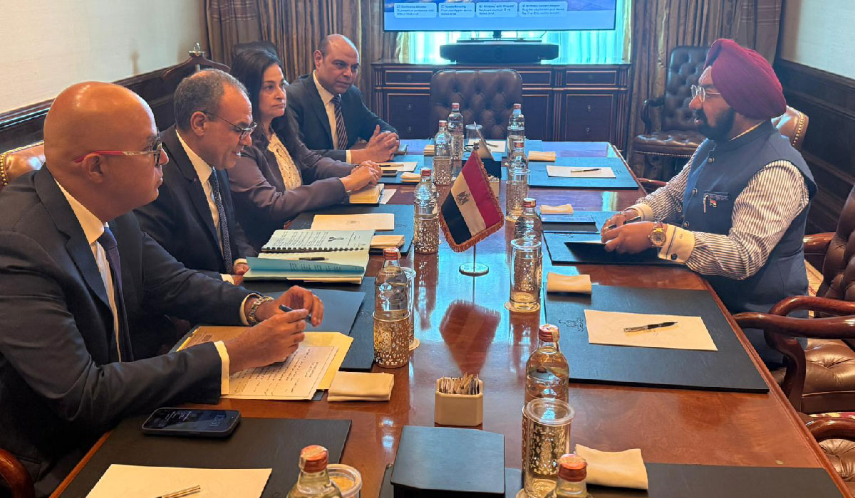 Egyptian Foreign Minister Dr. Badr Abdel Aty meeting