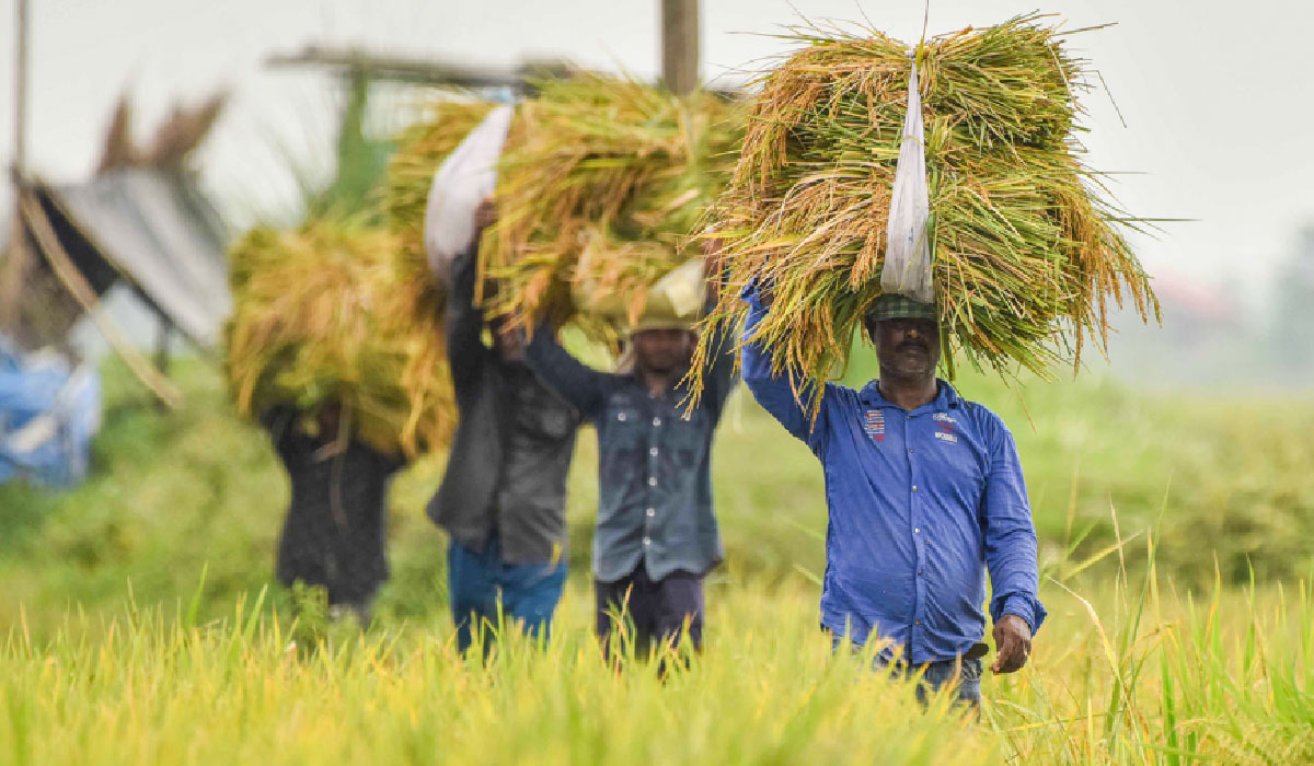 Soumya Swaminathan Lauds PM Modi’s Focus on Agricultural Development and Farmer Welfare
