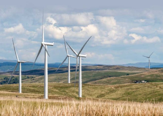 Denmark: Leading the Way toward Carbon Neutrality