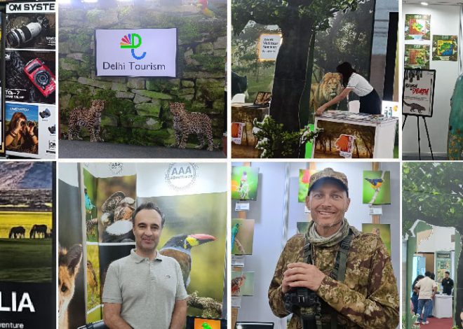 Global Wildlife Fair 2025: A Turning Point for Conservation and Ecotourism