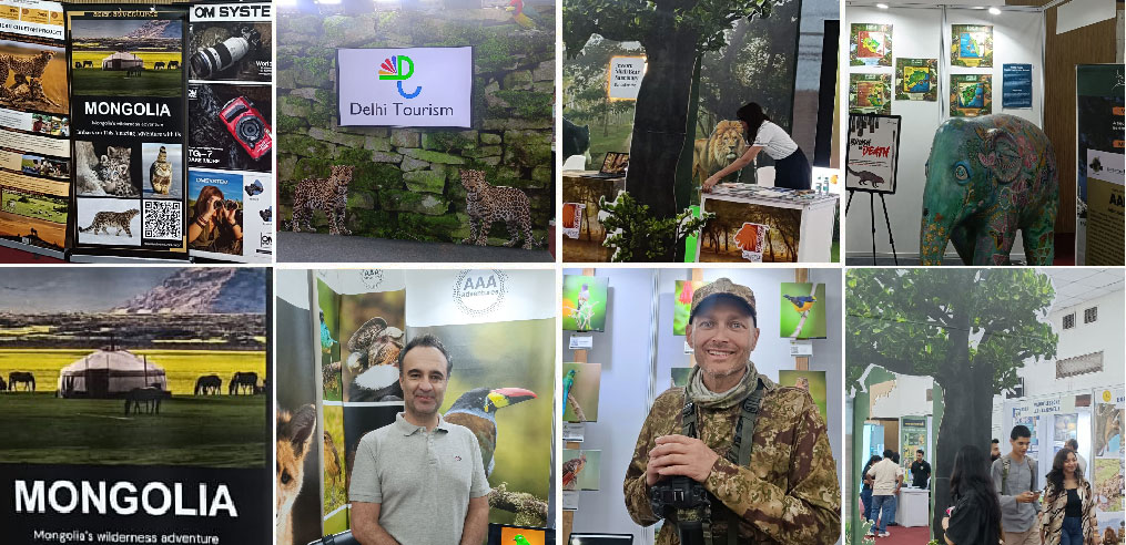 Global Wildlife Fair 2025: A Turning Point for Conservation and Ecotourism