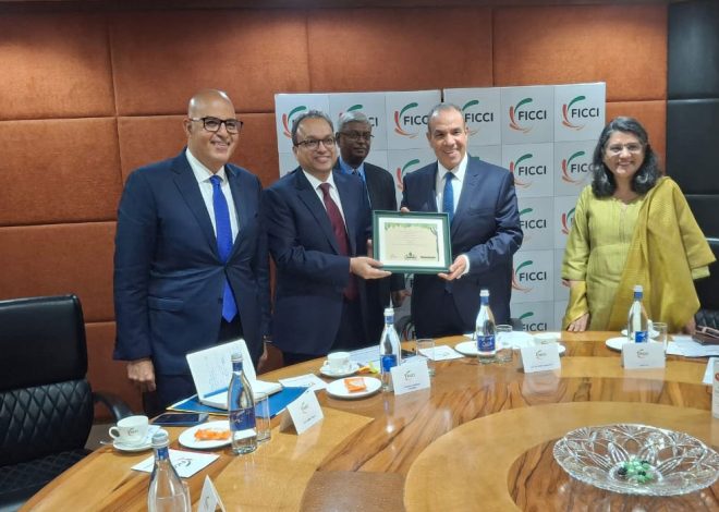 Egyptian Foreign Minister: Indian investments in Egypt estimated at $4 billion