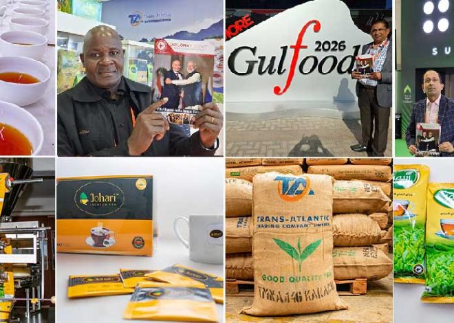 From African Gardens to Global Tables: Johari Teas and the Art of Trade Diplomacy