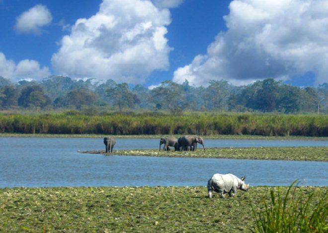 Tourism – India’s New Economic Frontier