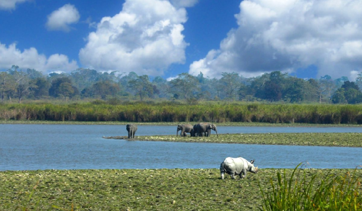 Tourism – India’s New Economic Frontier