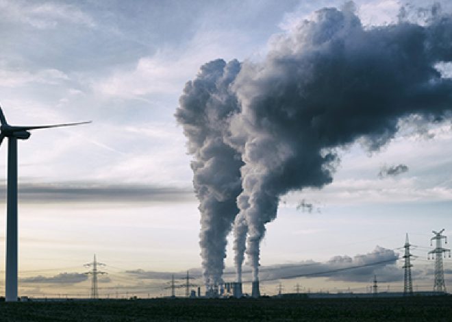 Sustainability in Global Trade