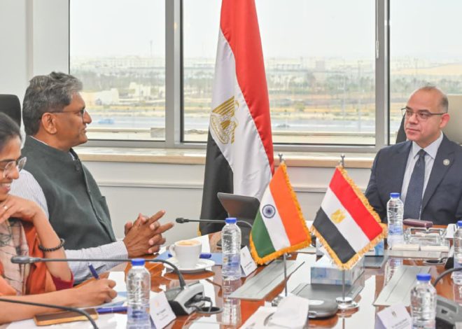 Significant Growth in Indian-Egyptian Cooperation Driven by Investment and Trade