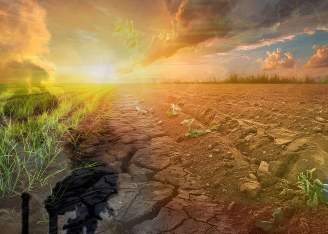 Climate Diplomacy in 2026: Innovations in Sustainable Development