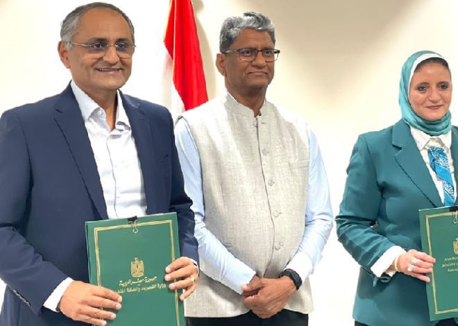 Indian Company Wins Over $40 Million Contract to Develop Egypt’s Electricity Grid