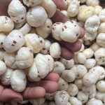Mithila Makhana Goes Global: Bihar’s Superfood Finds a New Market in Australia