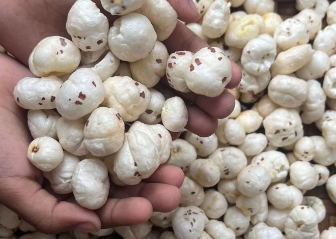 Mithila Makhana Goes Global: Bihar’s Superfood Finds a New Market in Australia