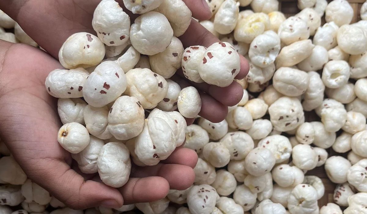 Mithila Makhana Goes Global: Bihar’s Superfood Finds a New Market in Australia