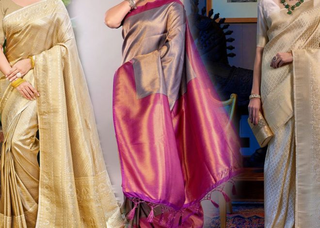 India Brings Its Silk Heritage to Egypt, Opening New Avenues for Trade